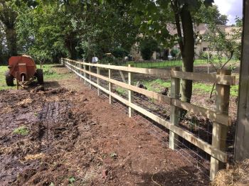 Post and rail fencing with rabbit net