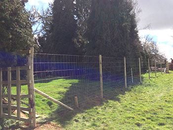 Deer Fencing