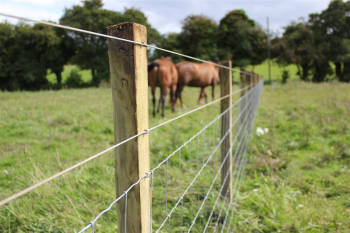 Post and wire fencing for horses