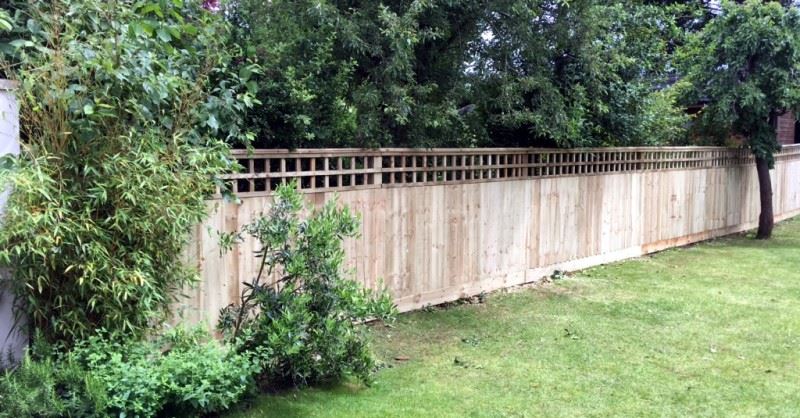 Close board fencing with wooden fence posts