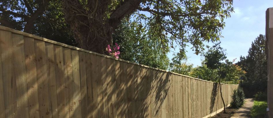 Close Board Fencing