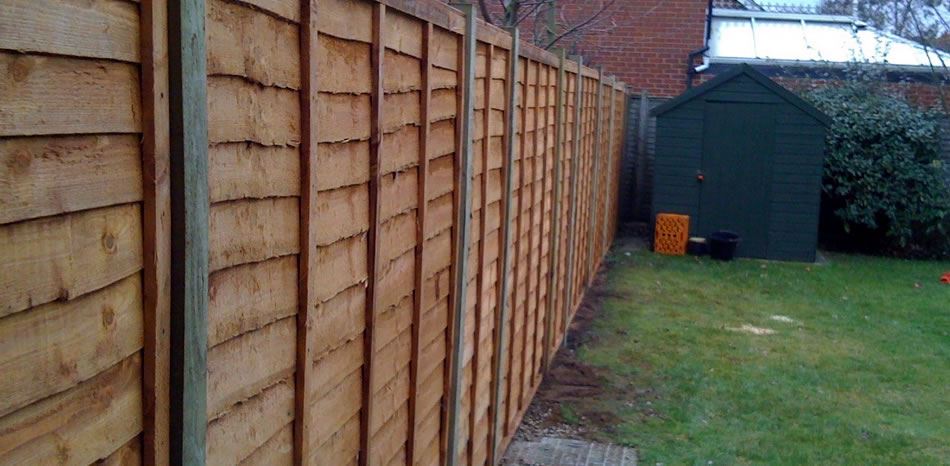 Larch lap fence panel