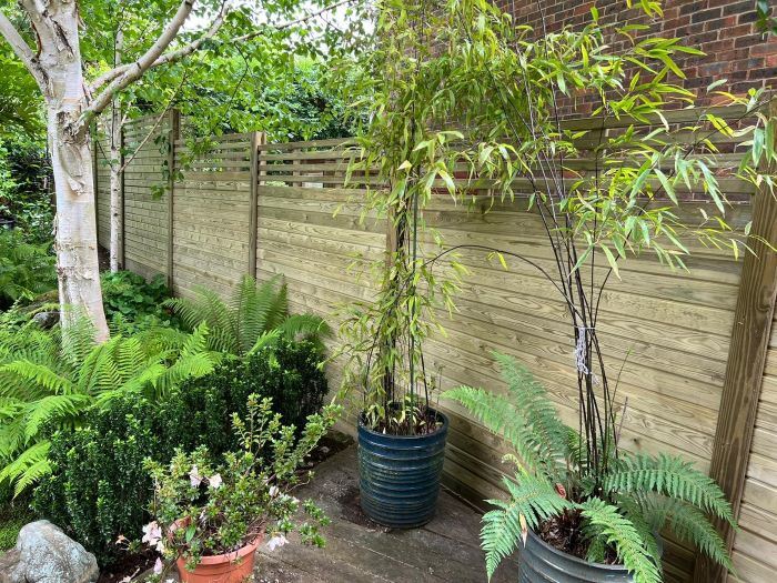 Fencing in a central Oxford garden