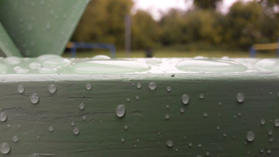 Rain beading on green fence