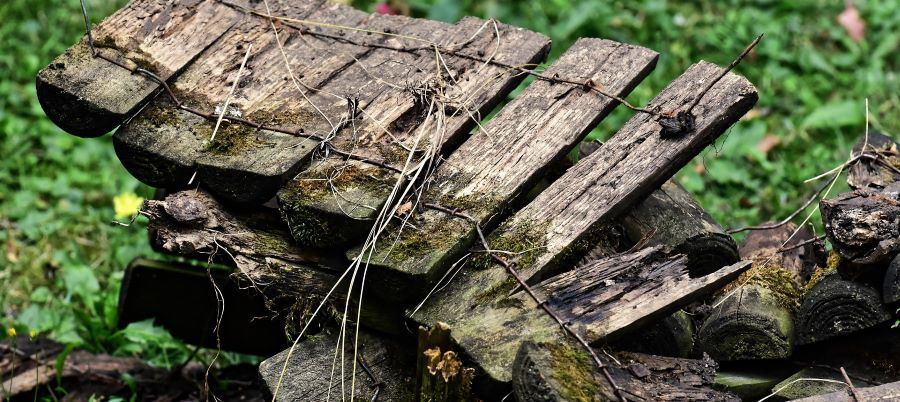 Fallen fence