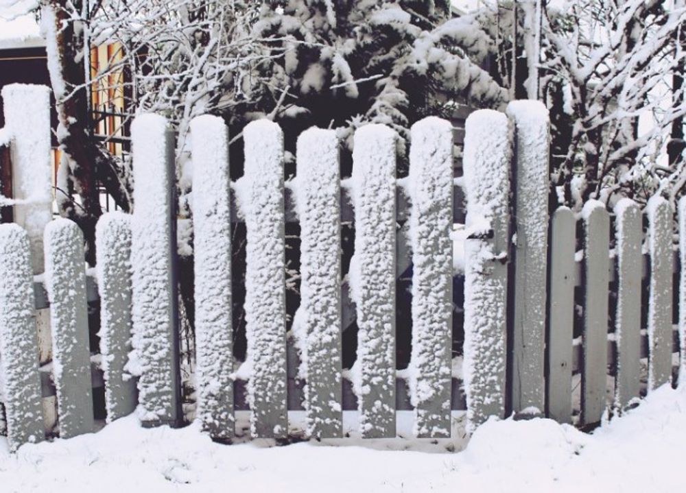 Winter Care & Protection for Your Garden Fence