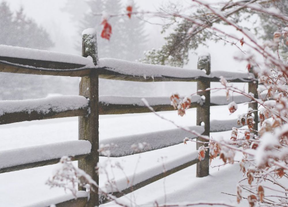 Why You Should Get Your Fence Installed In Winter