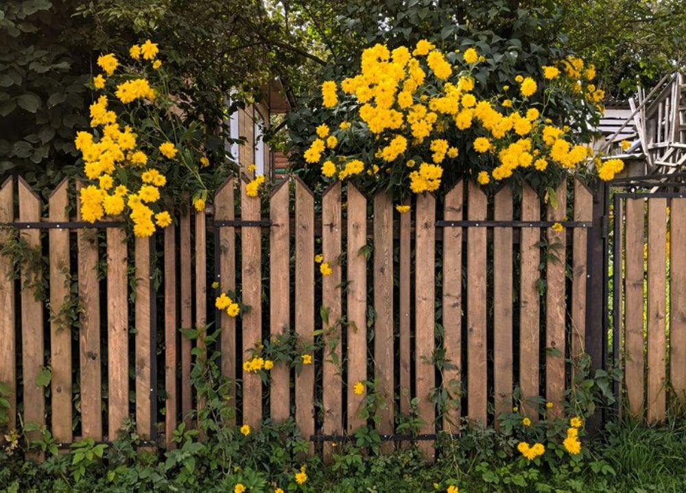 Exploring Fence Height Loopholes in the UK - Tips & Tricks