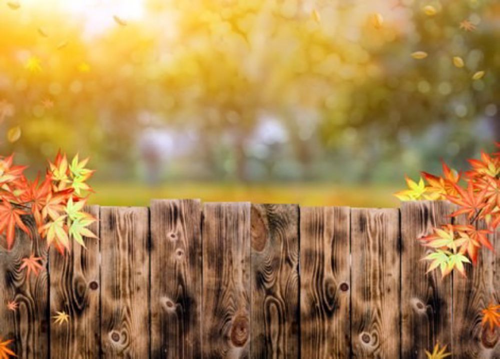 Tips To Brace Your Fence Against High Winds