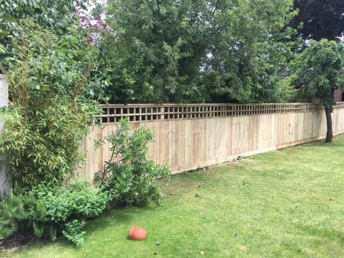 Close board fencing with trellis (3)44