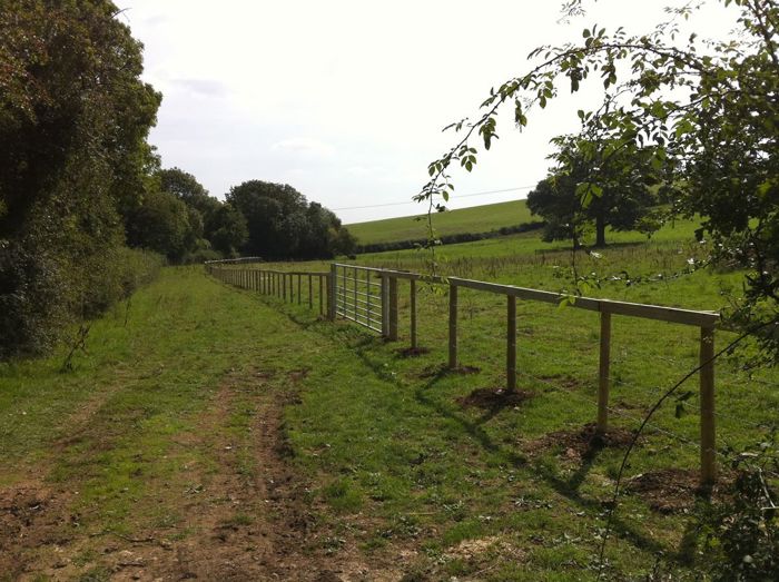 3 x barbed stock fencing with top rail and galvanised field gate.