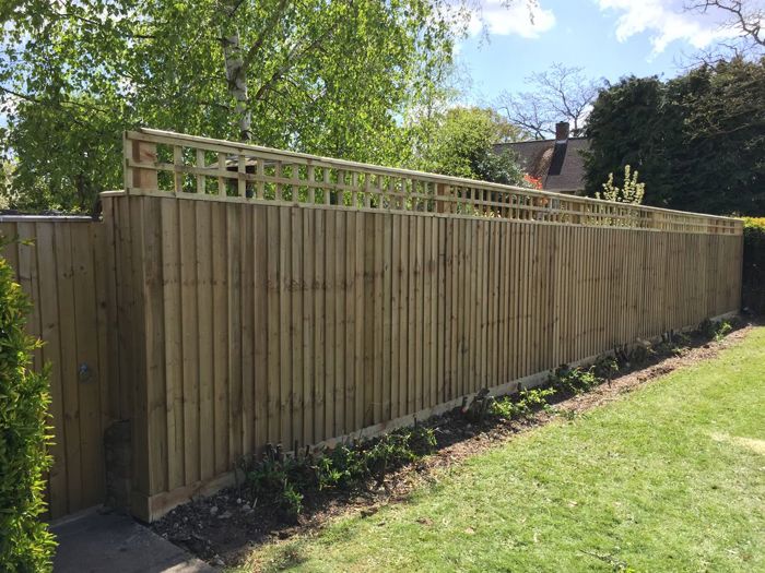 Close board fencing with trellis (1)