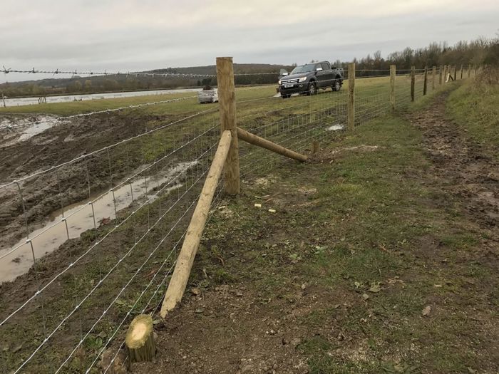 Stock fencing with barbed wire (2)