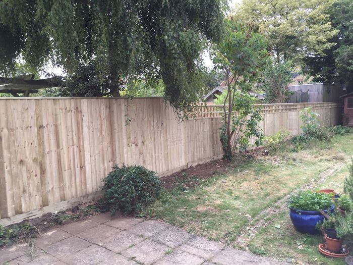 Close board fencing with trellis (2)