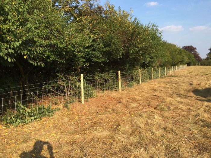 Stock fencing