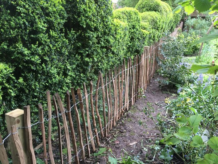 Chestnut pale fencing