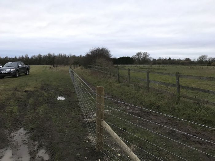 Stock fencing with barbed wire