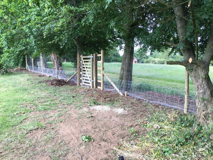 Deer fencing & gate with rabbit net