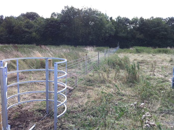 Galvanised kissing gate with stock fencing