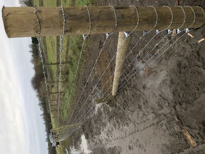 Stock fencing with barbed wire (1)