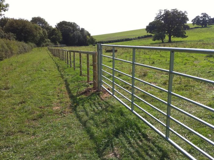 Galvanised field gate