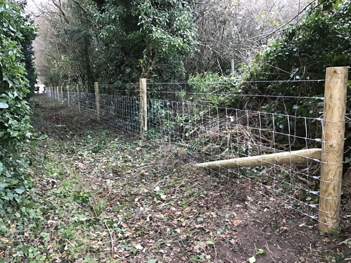 Stock fencing with barbed wire (3)