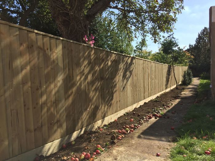 1.5m close board fencing